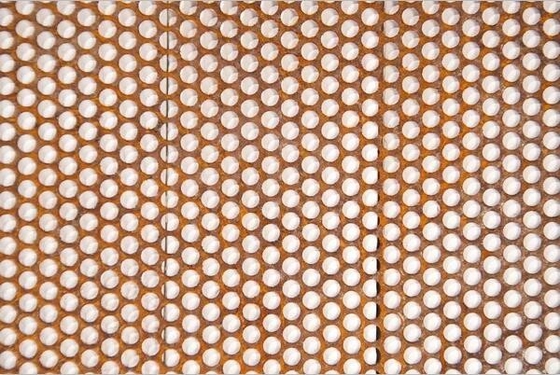 Decoratieve Geperforeerde Koperplaat voor het Traliewerkcomités van de Plafondstrede